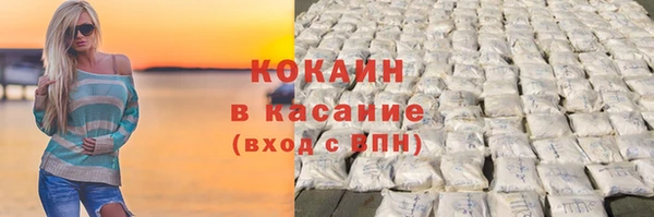 шишки Алексин