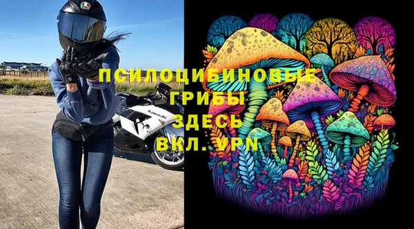 шишки Алексин