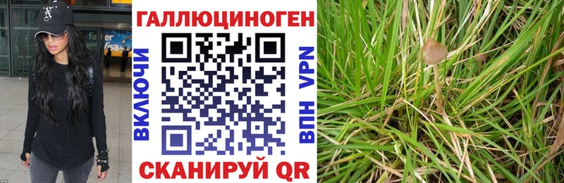 даркнет сайт  Домодедово  Псилоцибиновые грибы прущие грибы 